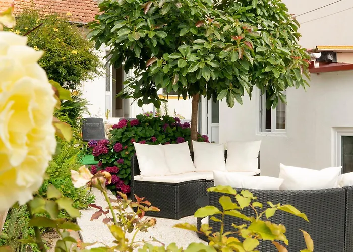 Bed and Breakfast Growth House Porto
